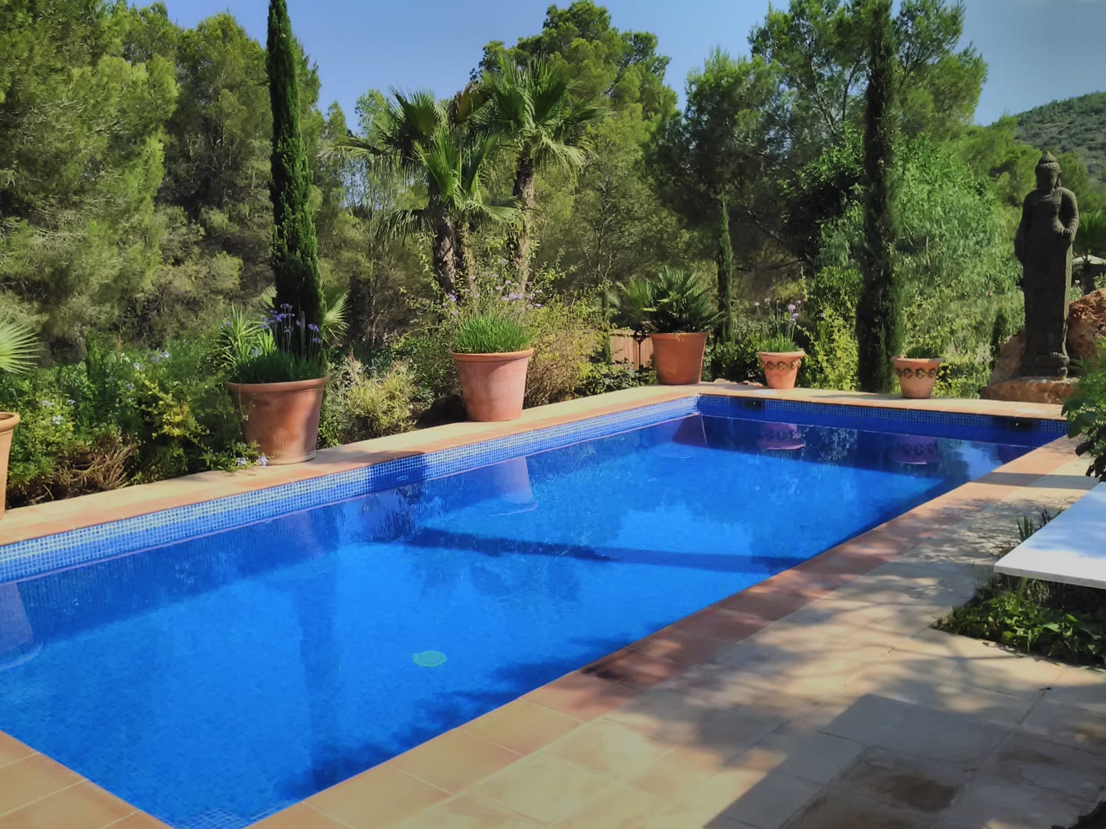 resa estates rental villa family ibiza betsy finca pool private .jpg